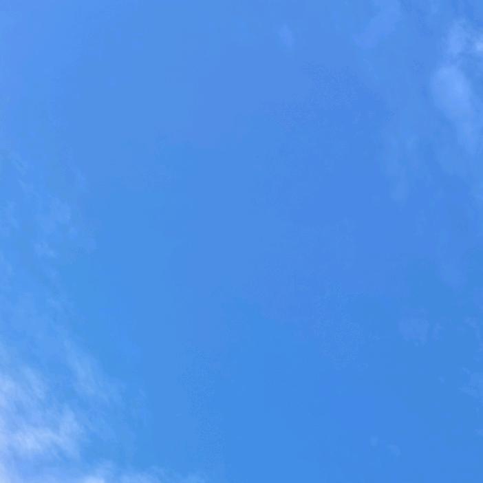 116865914