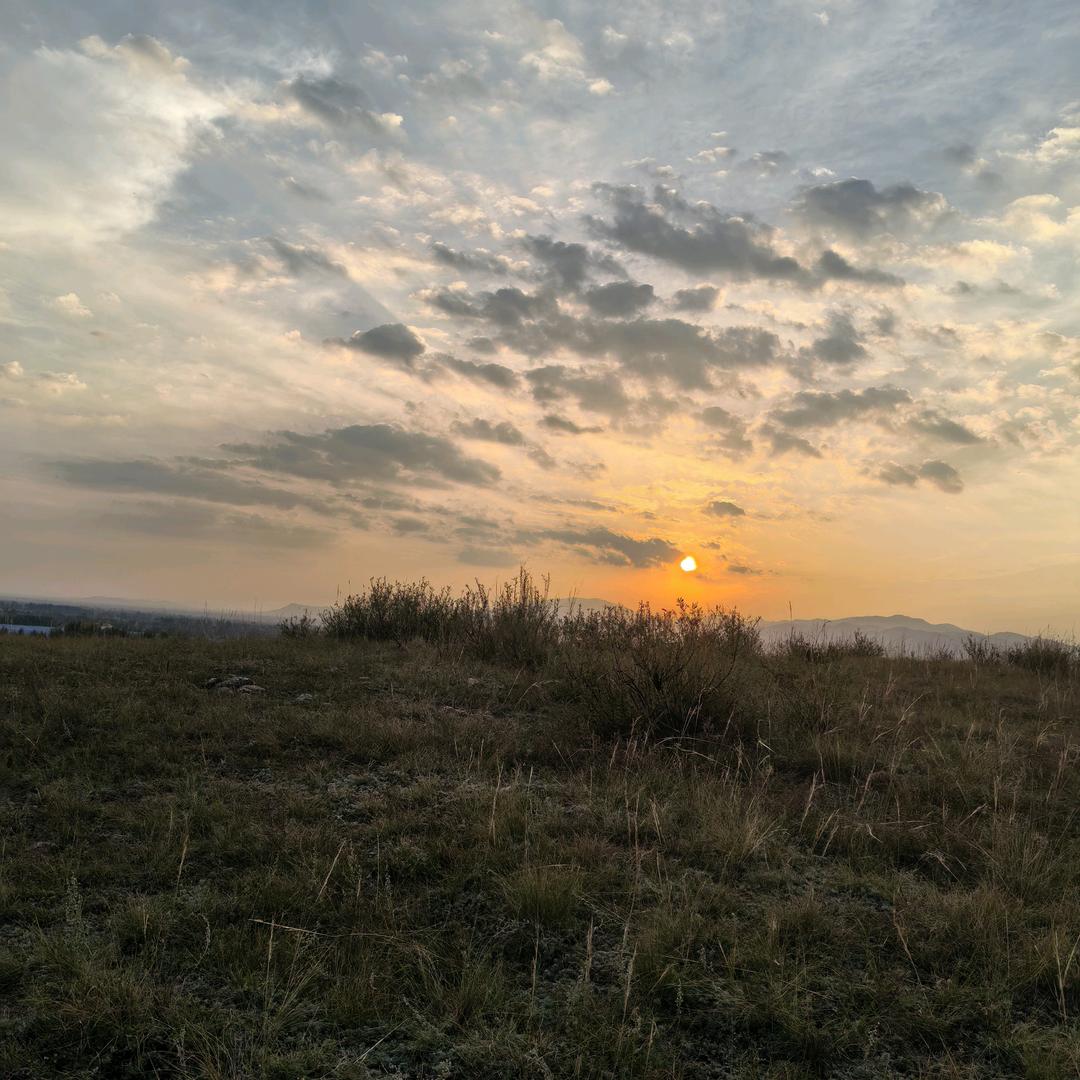 唯有自渡 才能有路