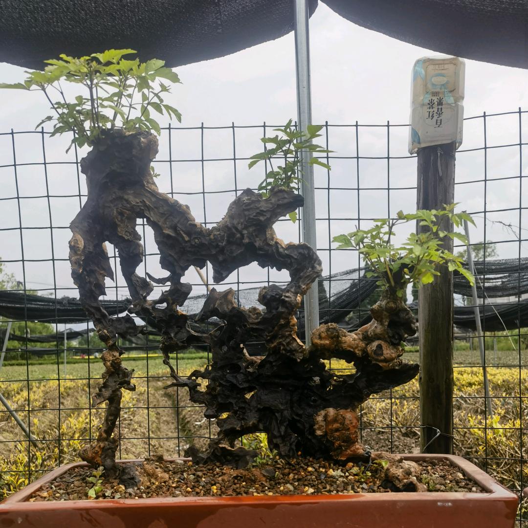 仟禧好物小店
