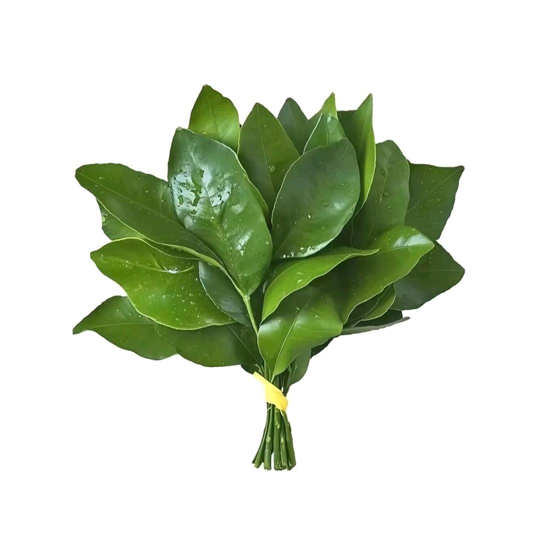 ᭄苹果冰美式ృ