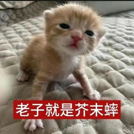 绿酒鱼诗人