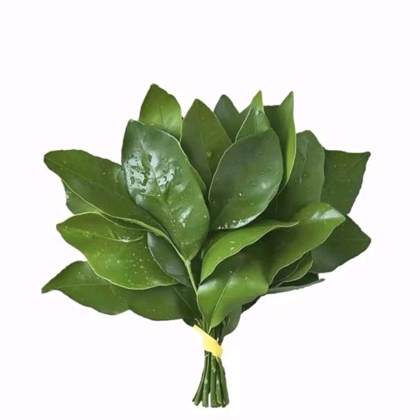 躺赢专用户