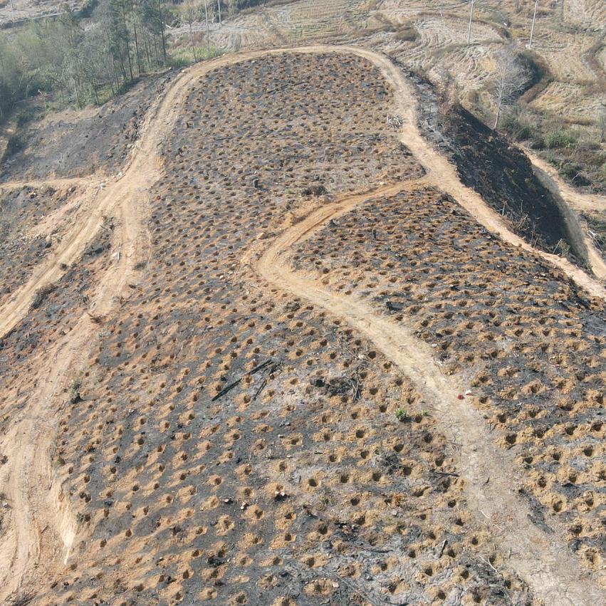 有钱别任性，没钱别认命