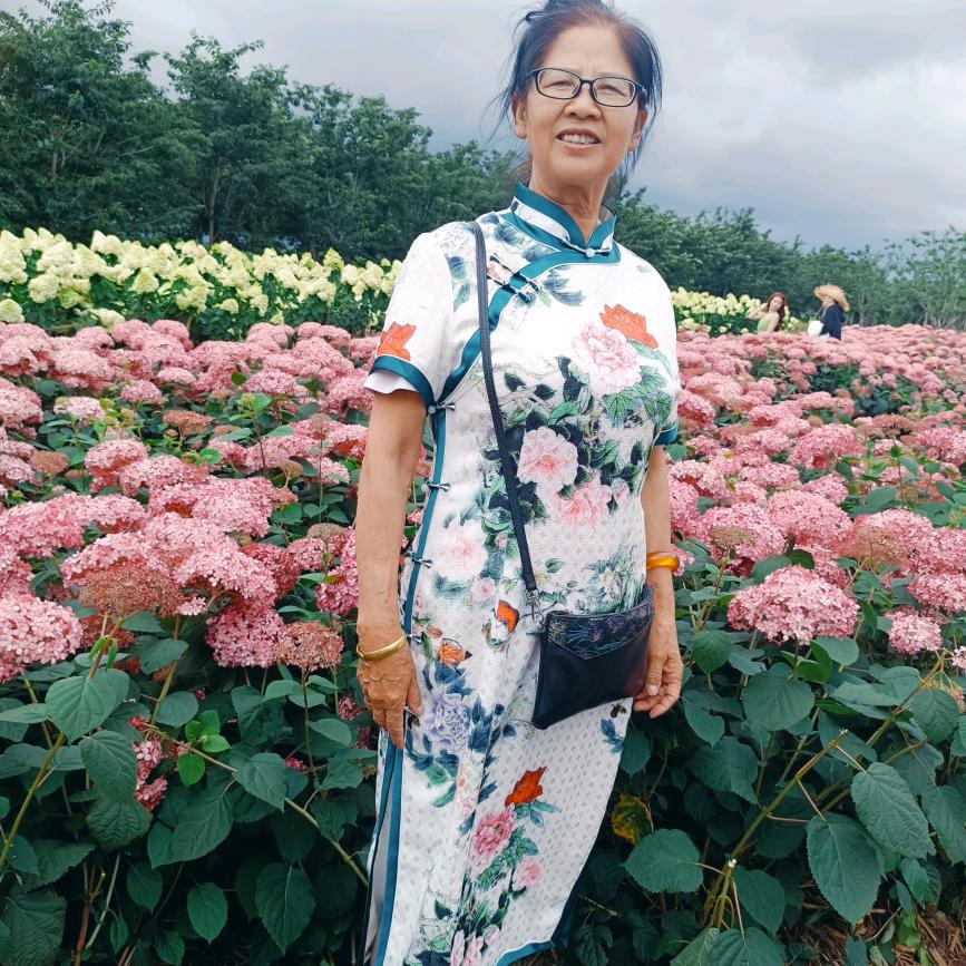 杨进兰(开心果)
