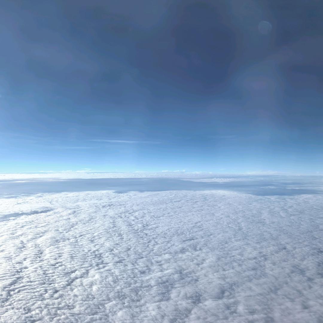 233416206