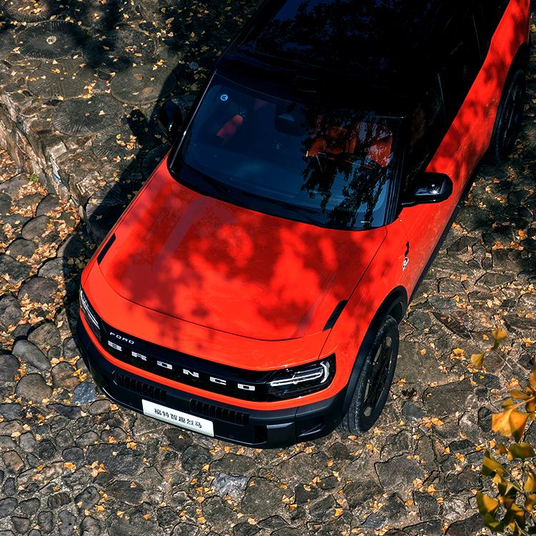 智趣烈马-临沂御骏