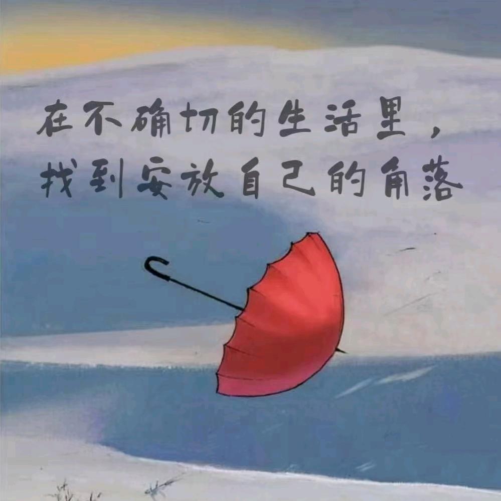 领域