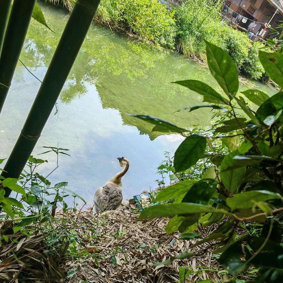 主动破局，逆势生长。
