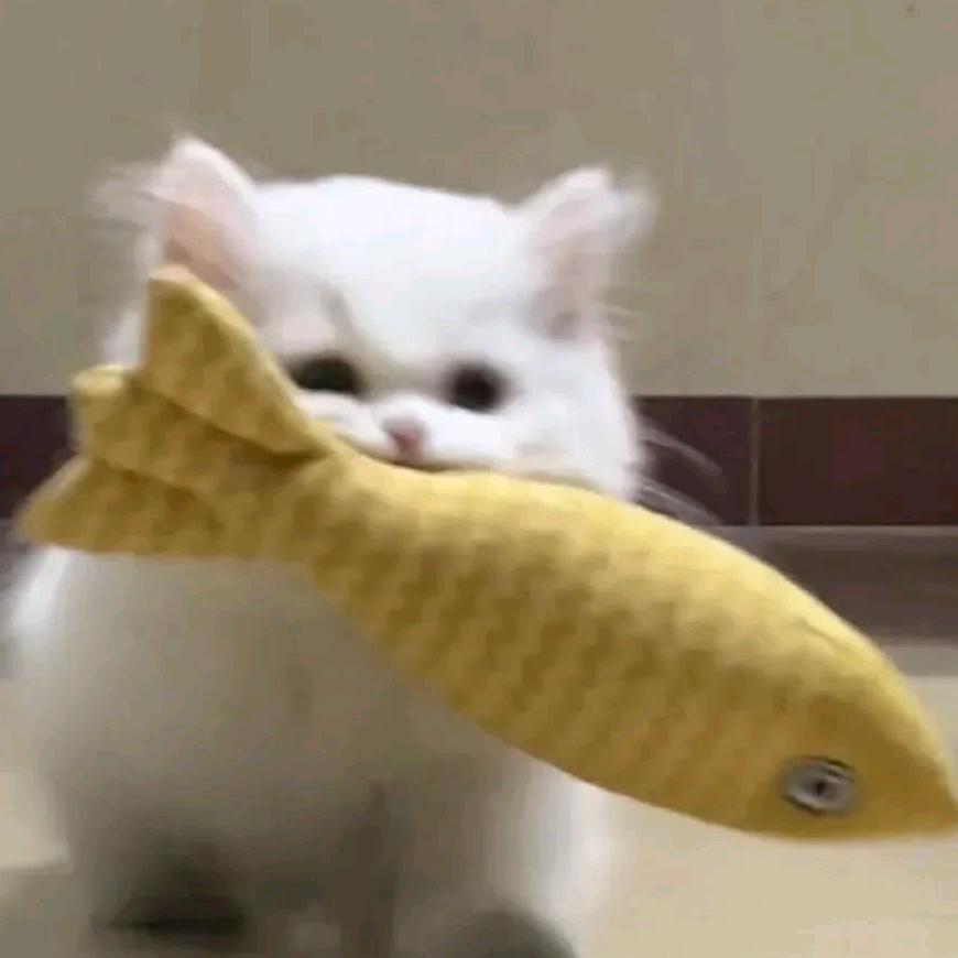 NO