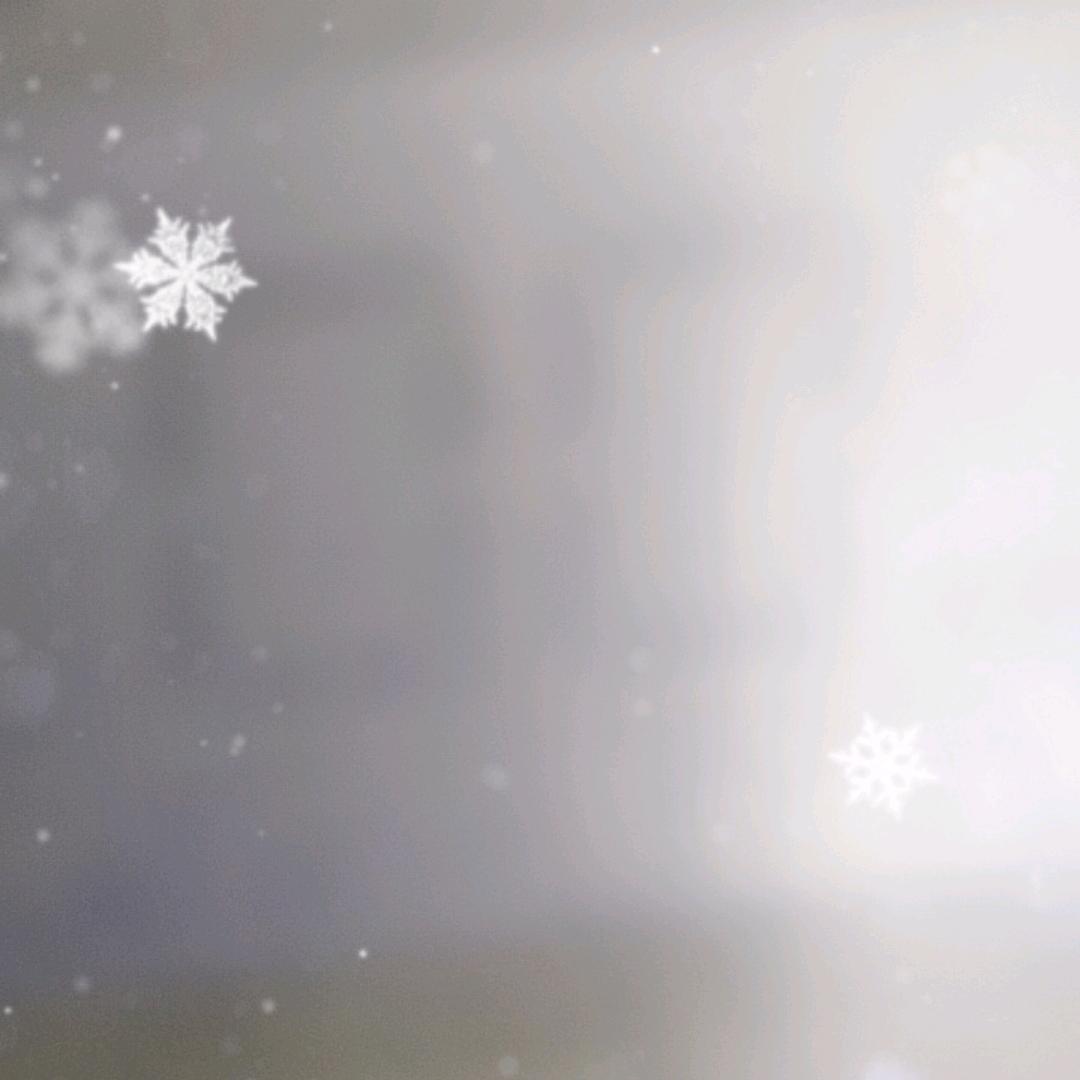 🌲@没