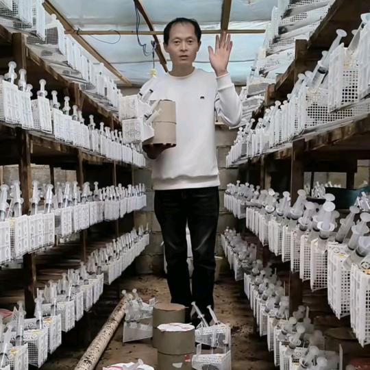 师宗县小弯旦村胡蜂培育