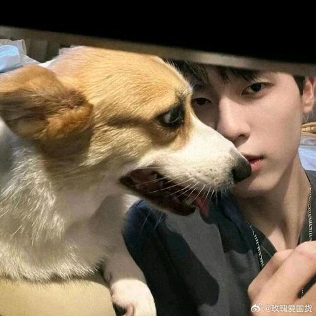 一点也不虚的戌