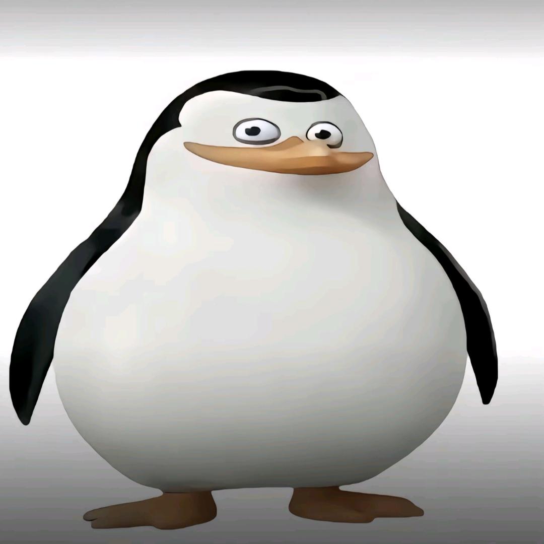 乱世小熊