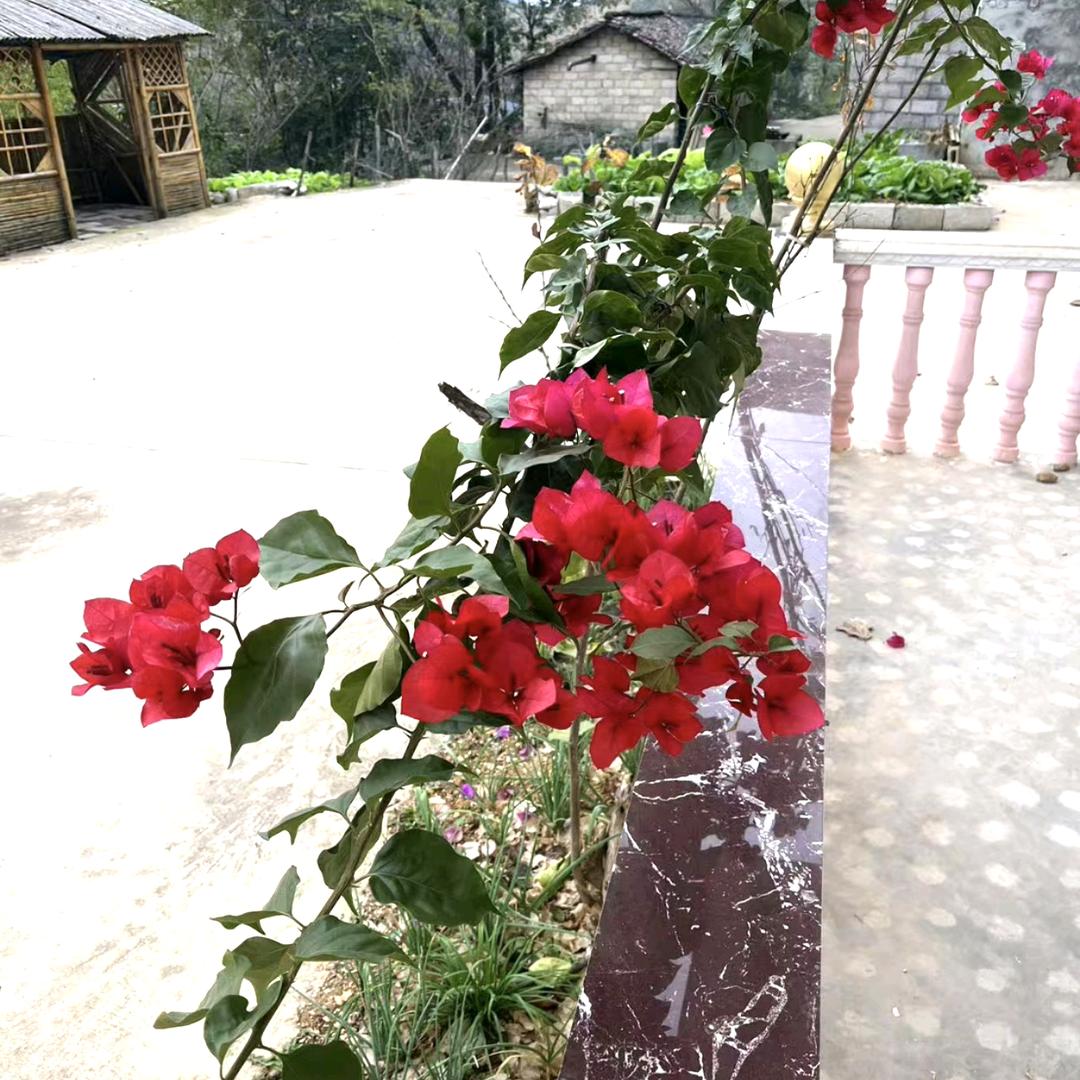 爱🉑乐❤️❤️