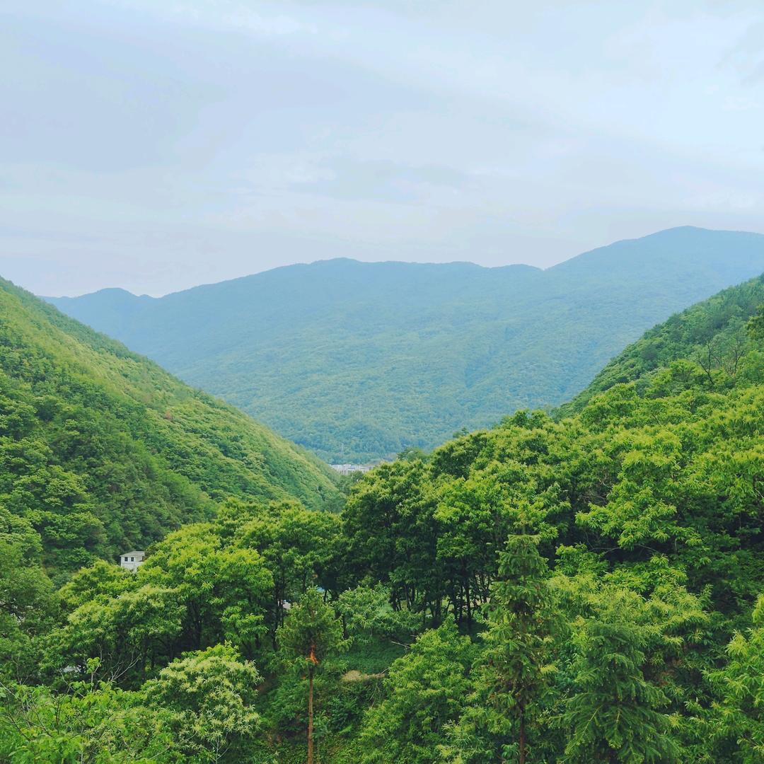 张洪