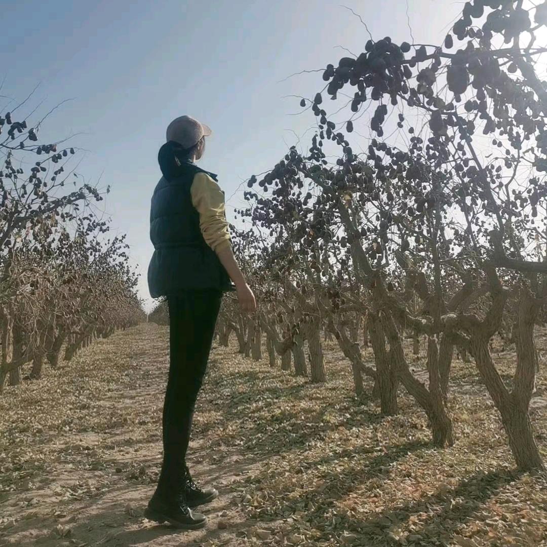 枣梦见(梦梦要努力)