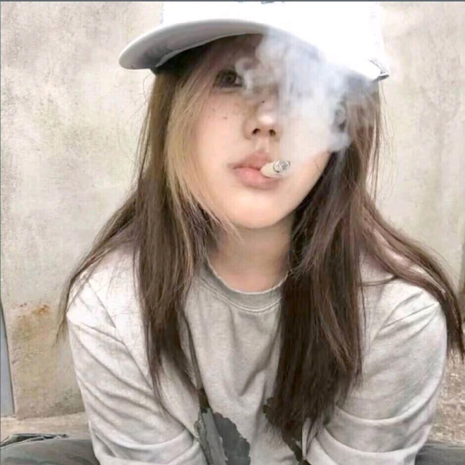 蒲葵