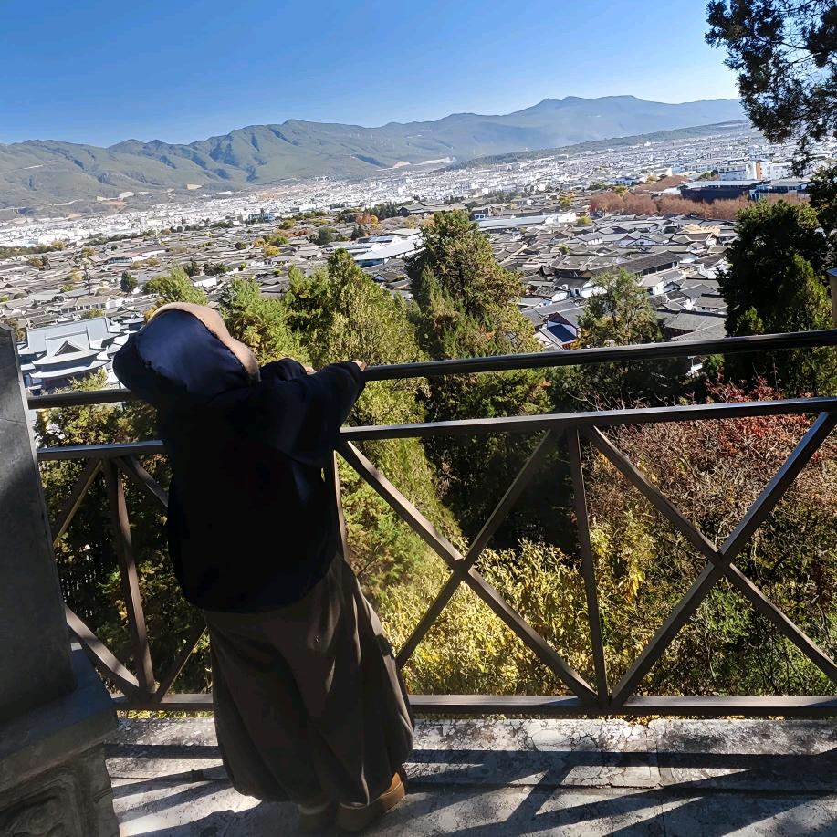 鲨鱼崽崽