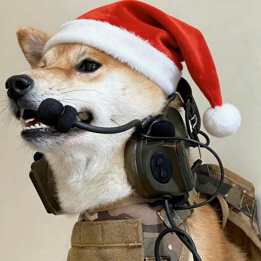 木秀于林风必摧