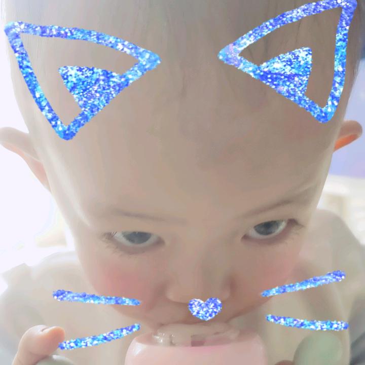 飞
