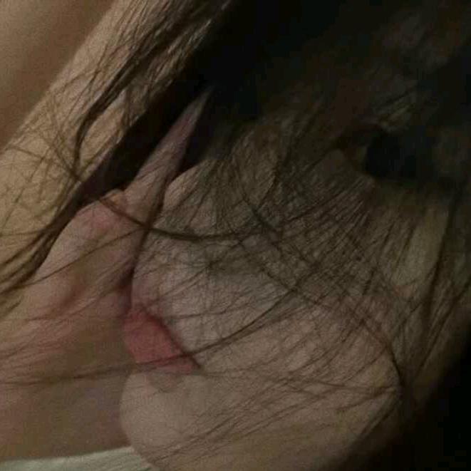 寻沐