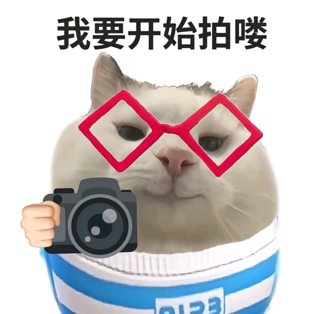聆序言📷✨（努力学习版）