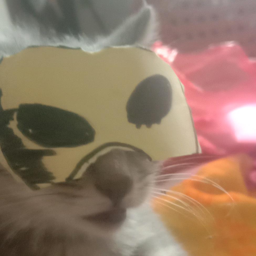 饥饿猫克