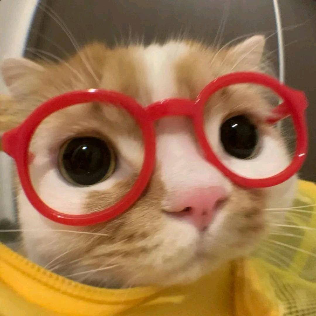 奇奇.