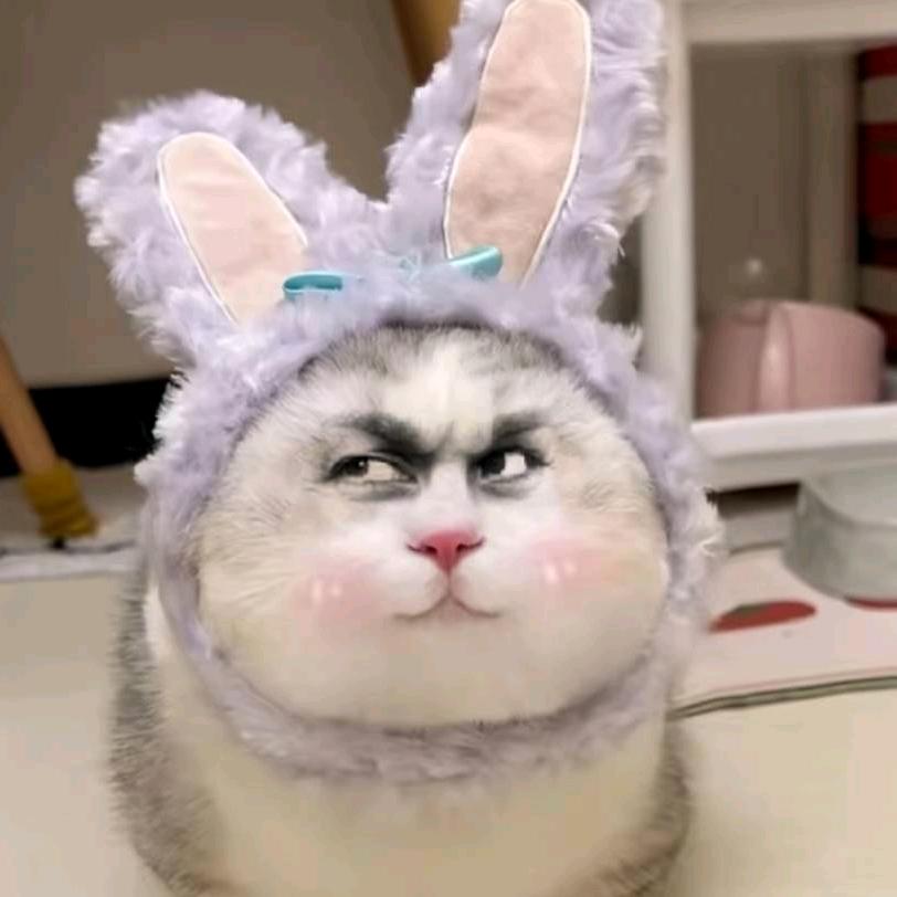 坏坏(˵¯͒〰¯͒˵)