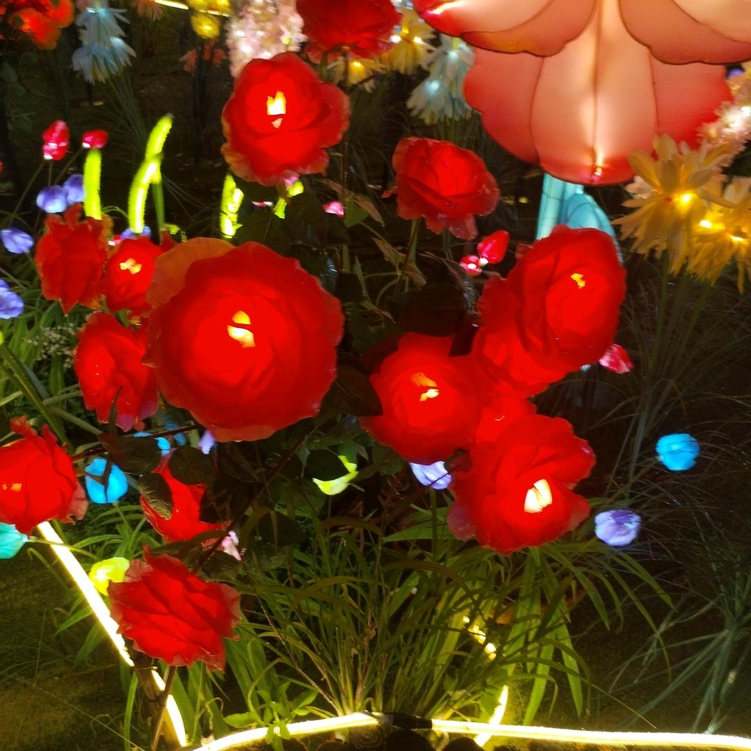 《 谁的人生没遗憾  》