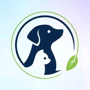 果果的创意优品