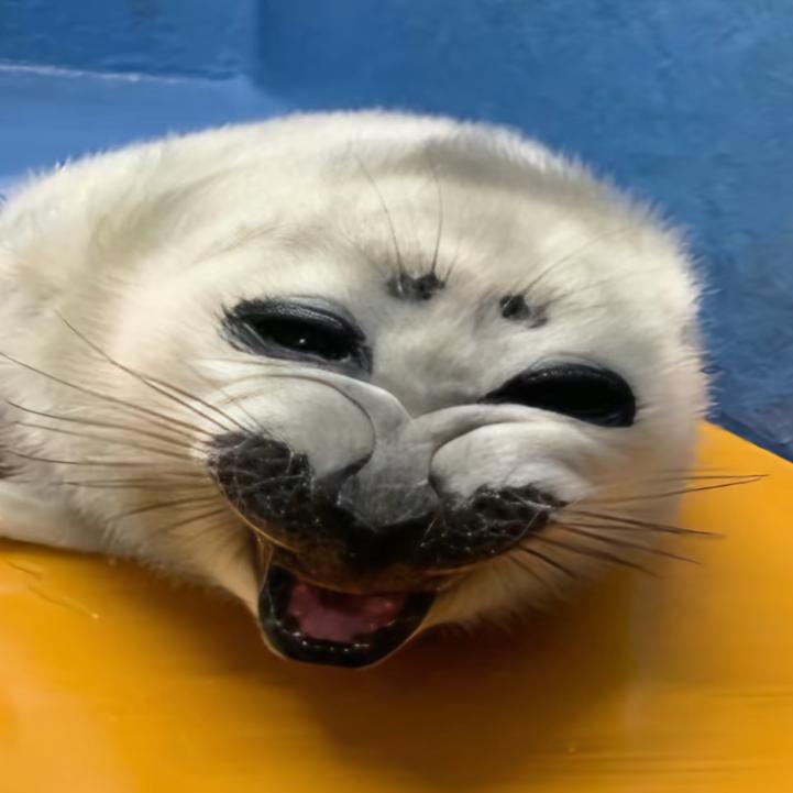 幸福的盡頭是我在哭泣༶ඬ༝ඬ༶