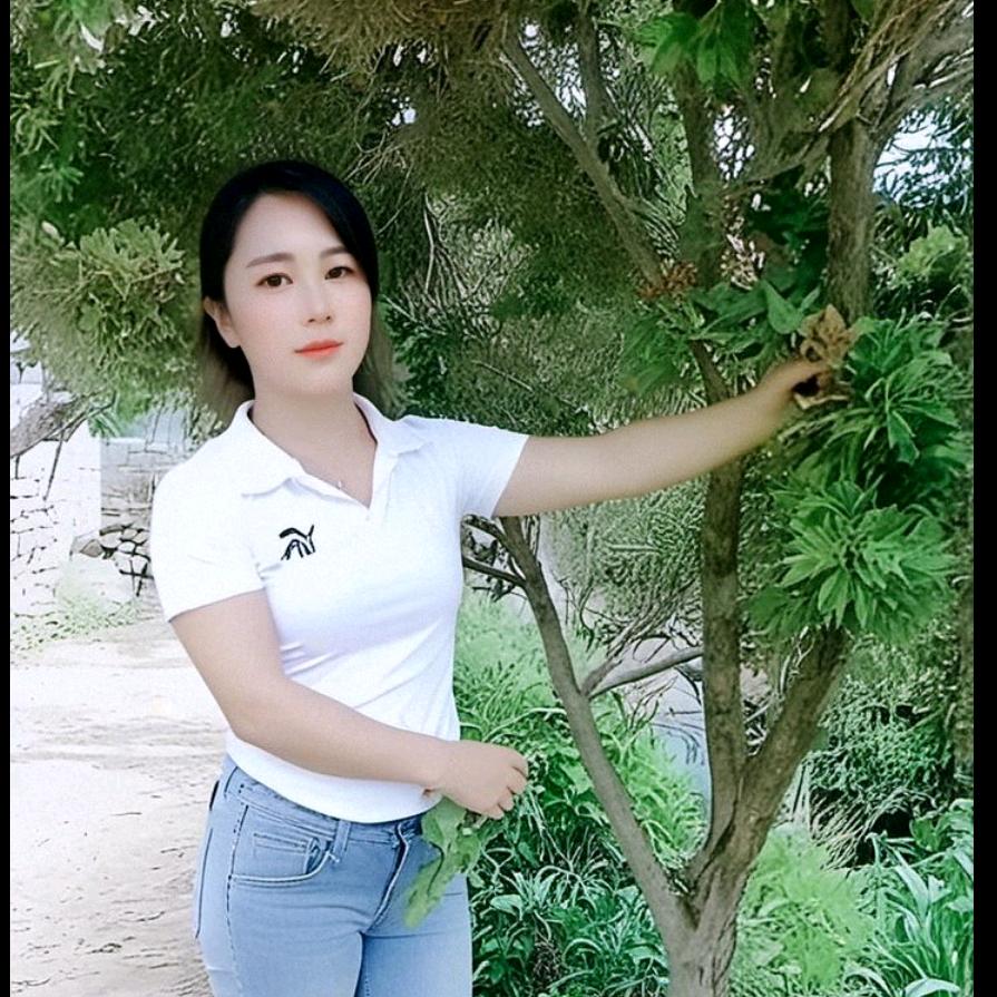 落叶知秋