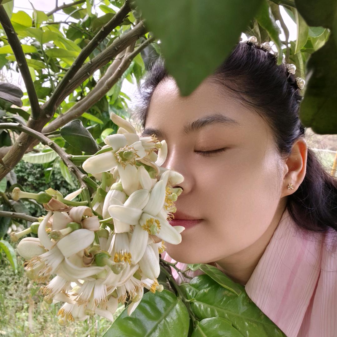 林飞燕