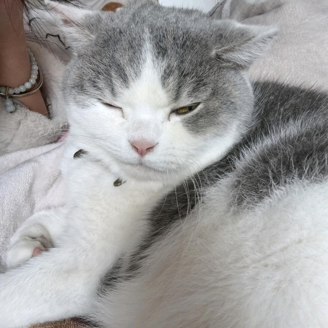 筱筱