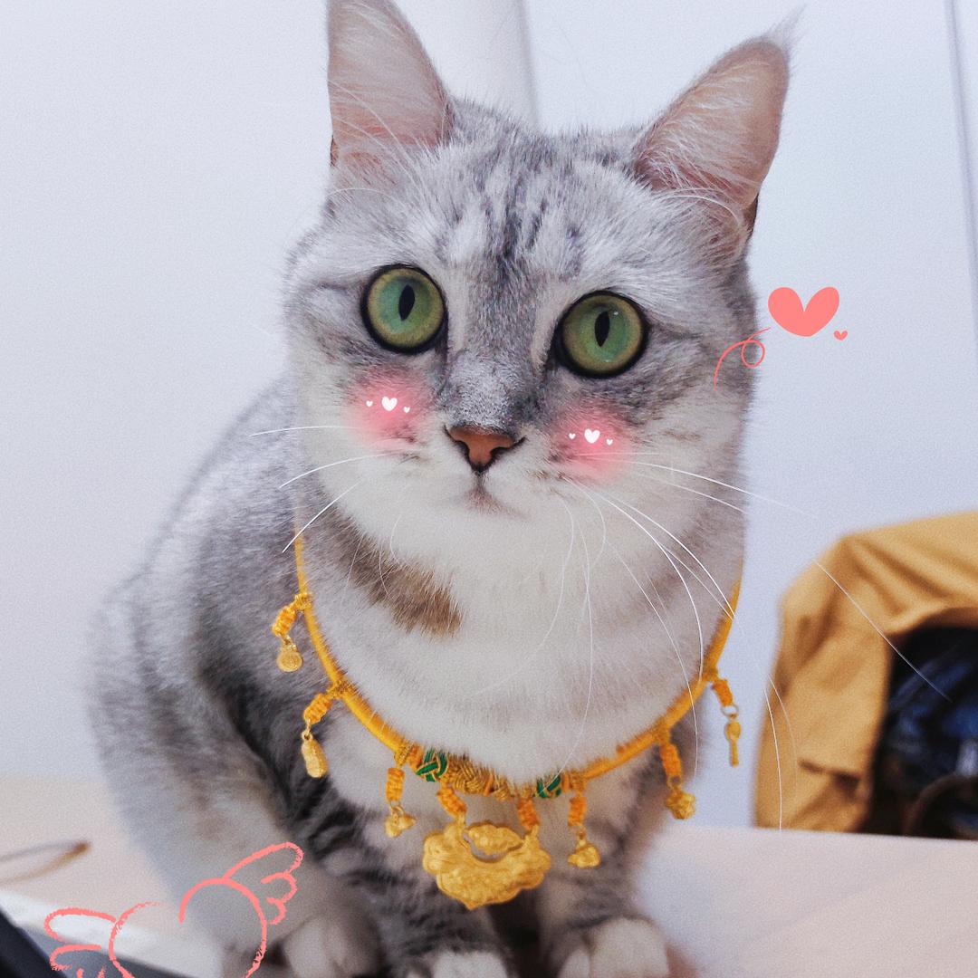 旺旺仙贝小仙女