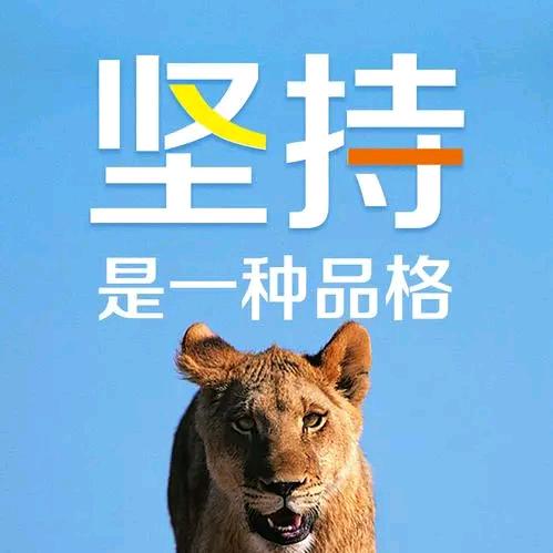 坚持是一种品格