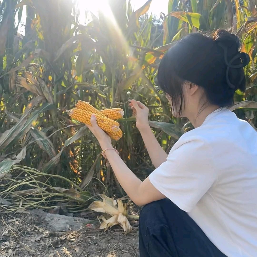 随缘就好🌸