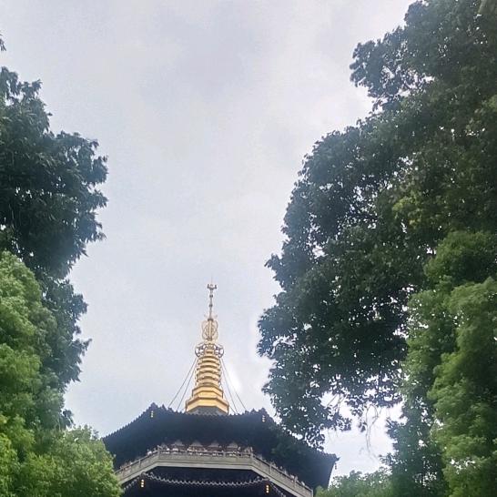 单身一个人小伟伟