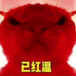 我真的遭不住了