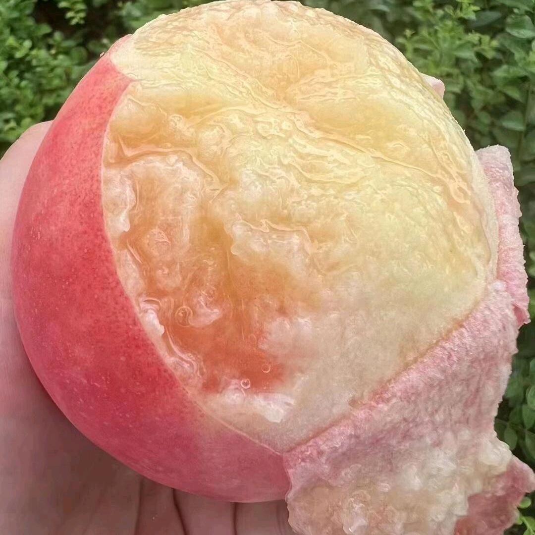 农村农产品
