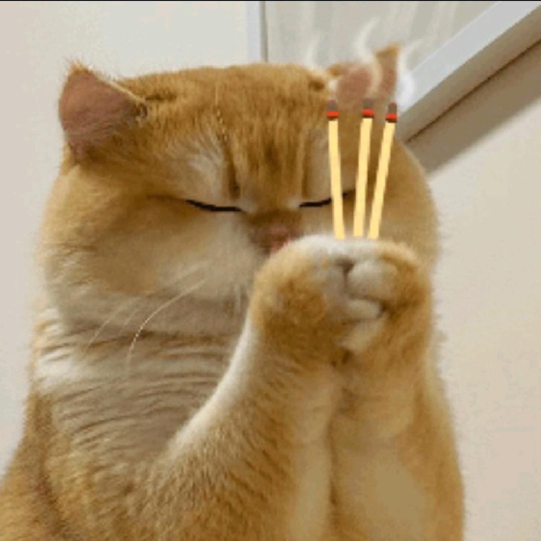 摘星（三角洲行动）