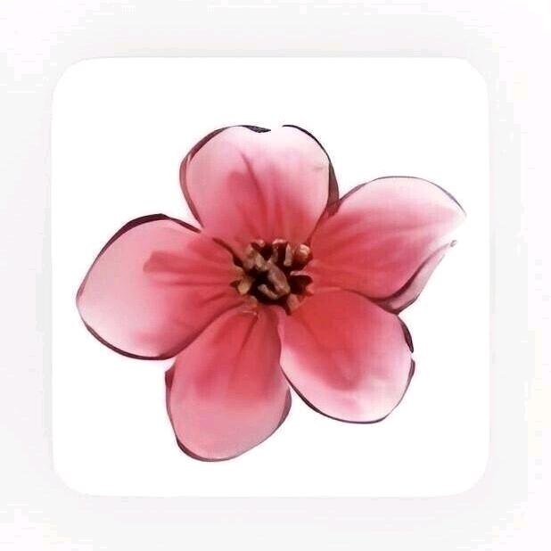 王公子