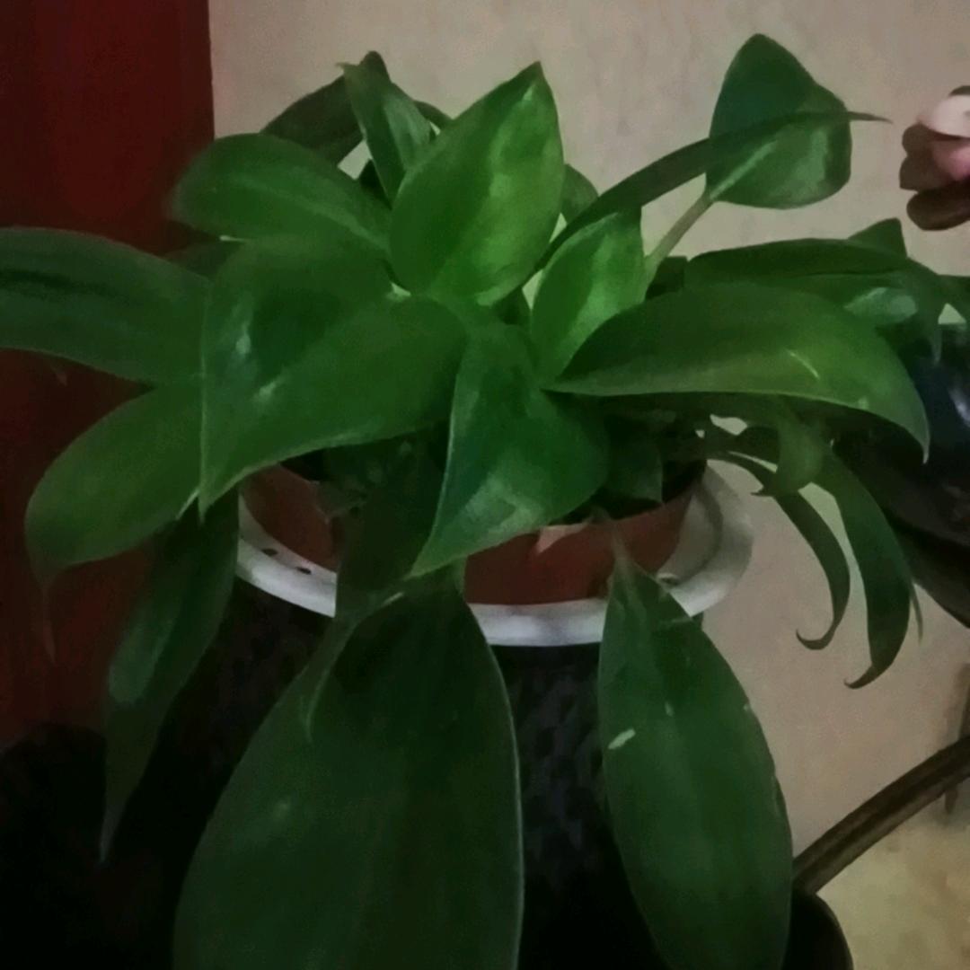 坤哥
