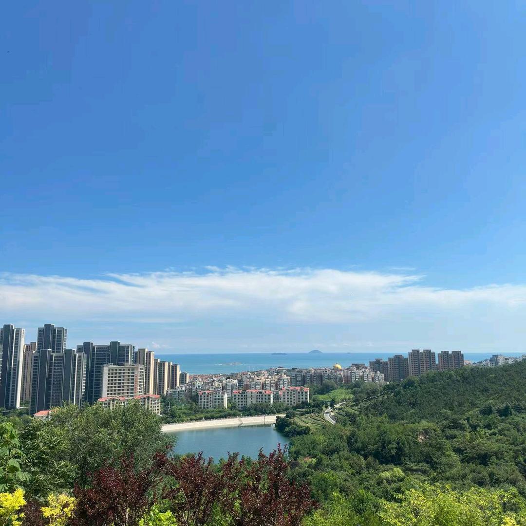 风和日丽