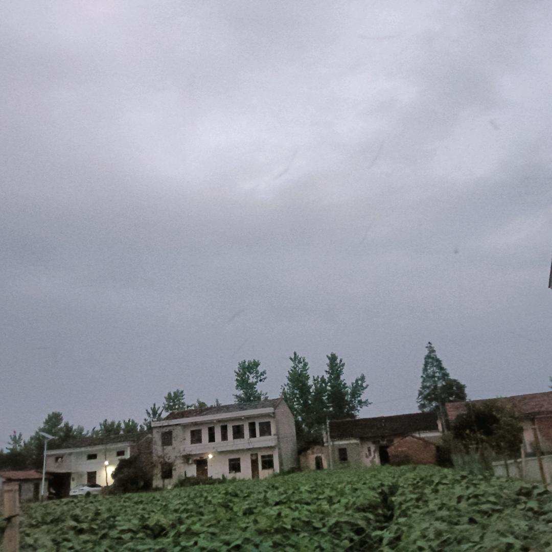 邹
