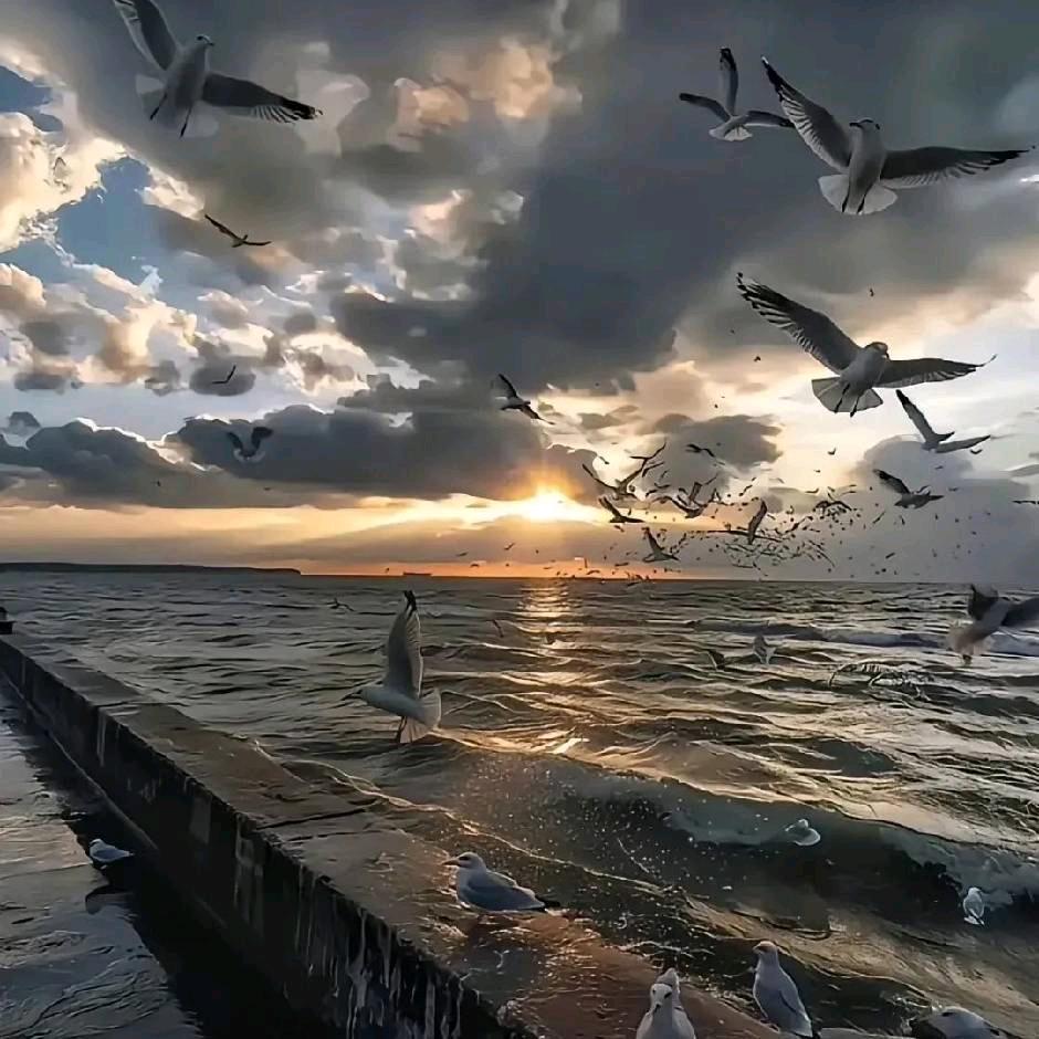 丢了幸福的猪ᥫᩣ__。