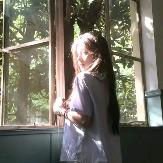 小芙蝶