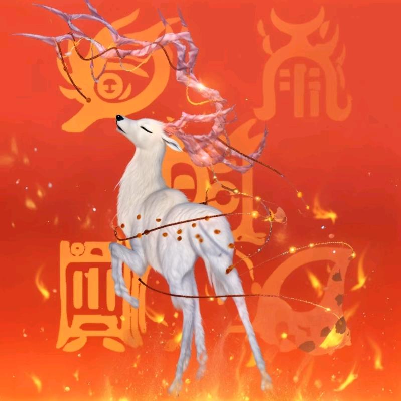 江山🇨🇳
