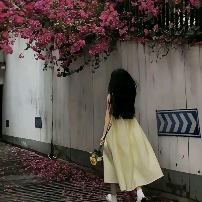 听雨🌙